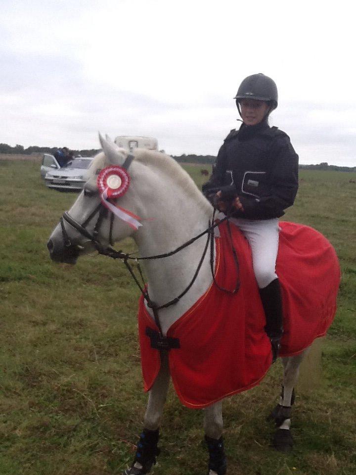 Connemara Damhavens Cayenne  billede 3