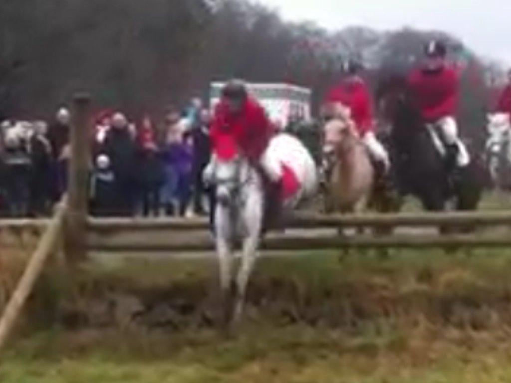 Connemara Damhavens Cayenne  billede 9