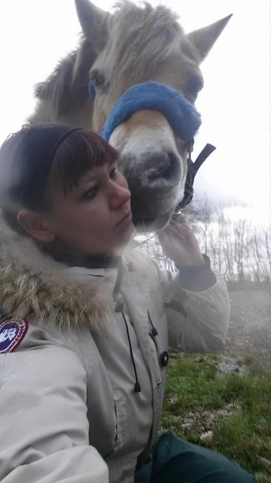 Fjordhest .william - min dejlig dreng  billede 2