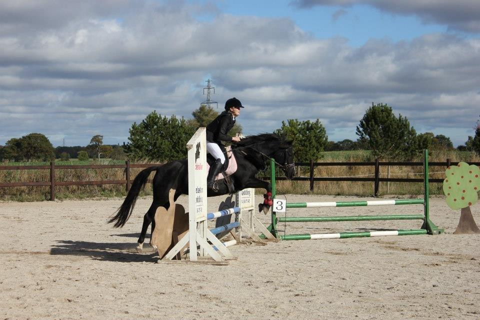 Tysk Sportspony Akrobatin S - Stævne på Strøgården.
LE: 2 plads.
LD: 1 plads.
oktober 2013 billede 20