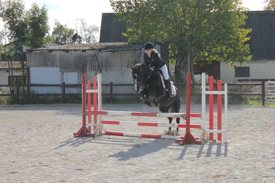 Tysk Sportspony Akrobatin S - Stævne på Strøgården.
LE: 2 plads.
LD: 1 plads.
oktober 2013 billede 21