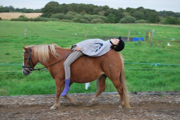 Anden særlig race Twiggi billede 4