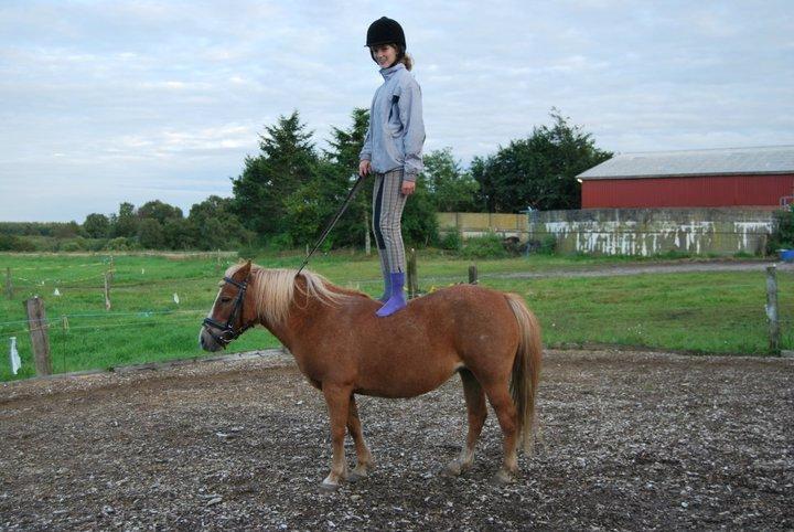 Anden særlig race Twiggi billede 5