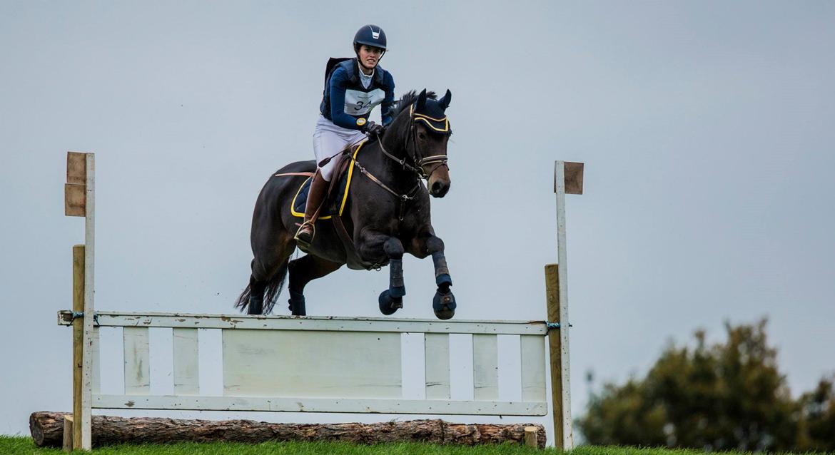 Dansk Varmblod Fyrstinde Temptation S.G. - Velkommen til Fyrstindens profil. 
CNC90 -Skårup okt 2013 billede 6