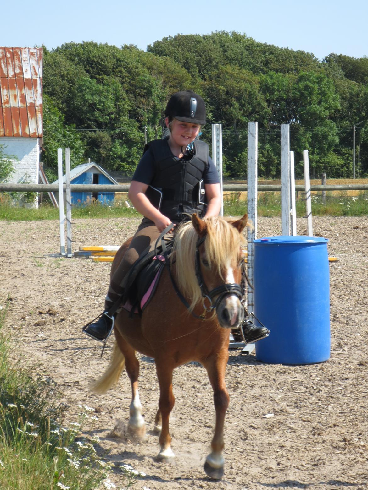 Anden særlig race Twiggi - Nuværende ejer billede 6