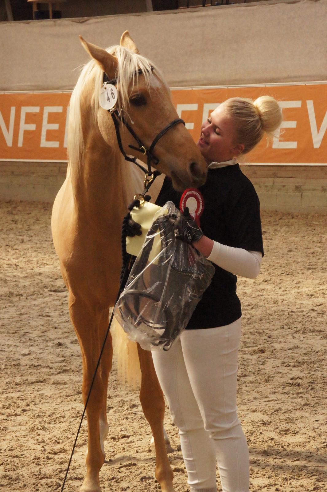 Palomino Hedegaards California Blue billede 23