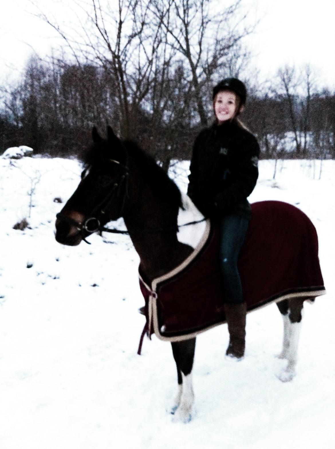 Anden særlig race Django - Vinter 2012 billede 31