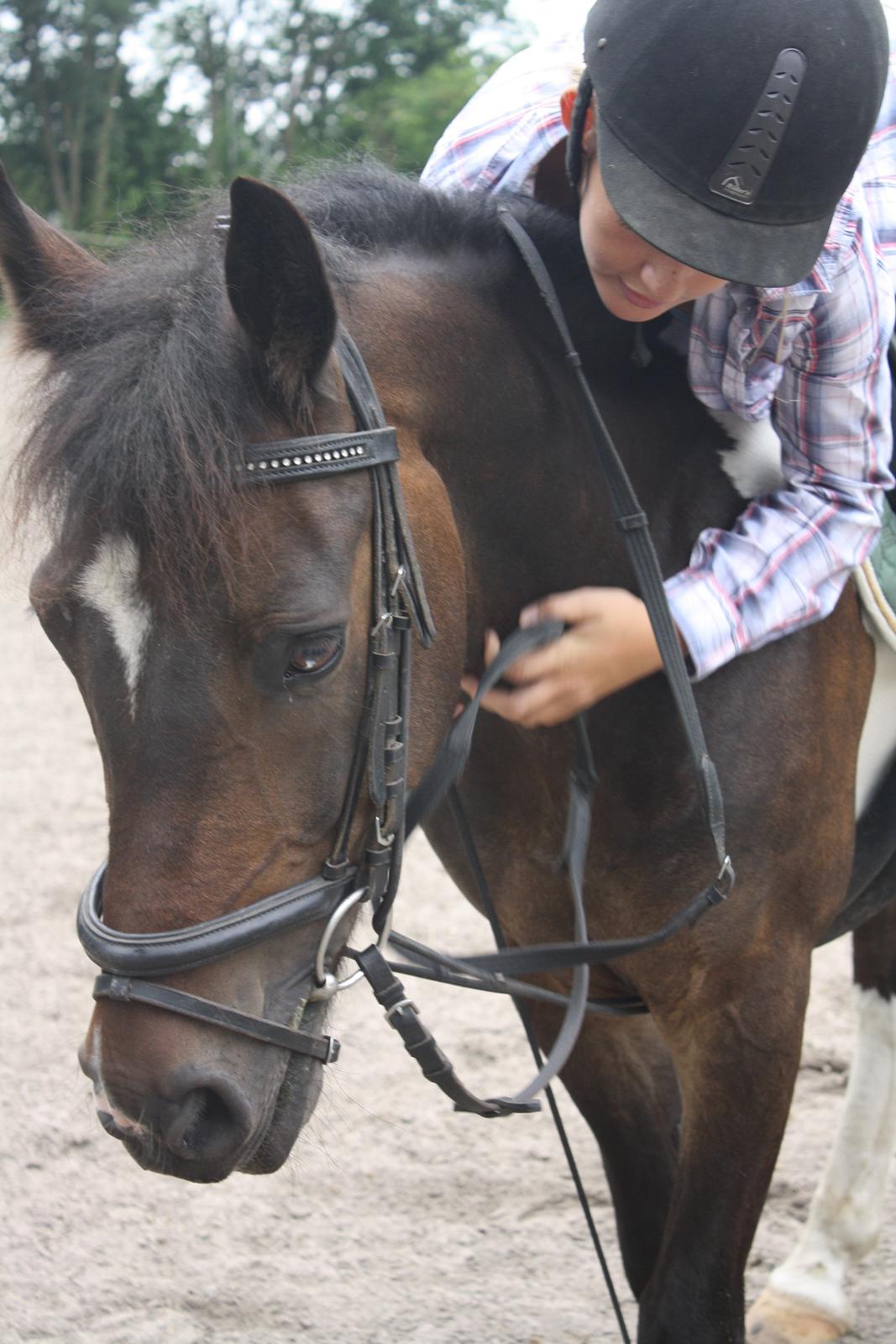 Anden særlig race Django - Forever in my heart..<3 billede 7