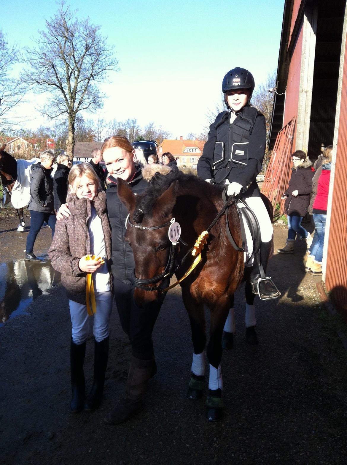 Anden særlig race Filur (solgt ) billede 8