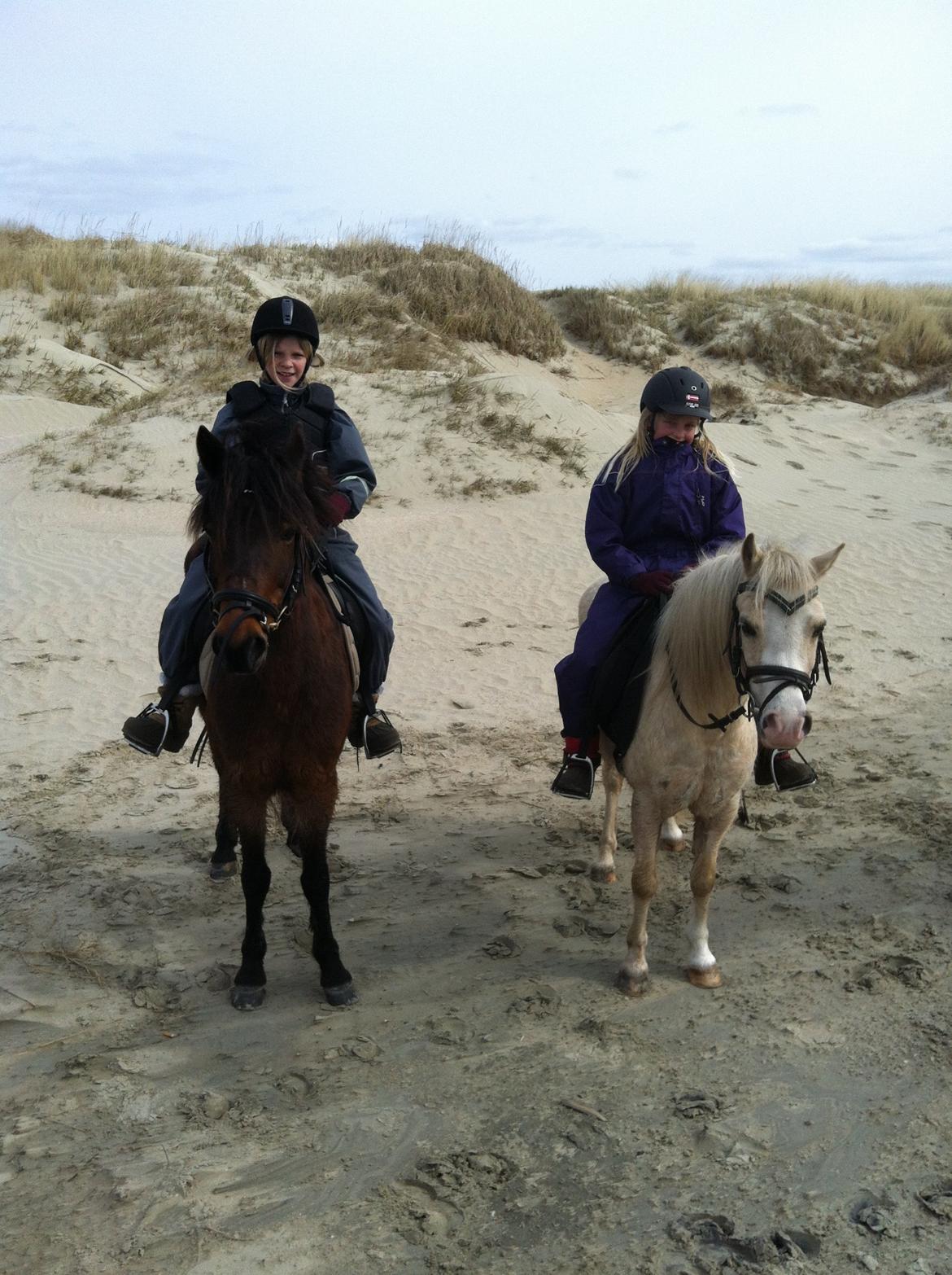 Anden særlig race Filur (solgt ) billede 11