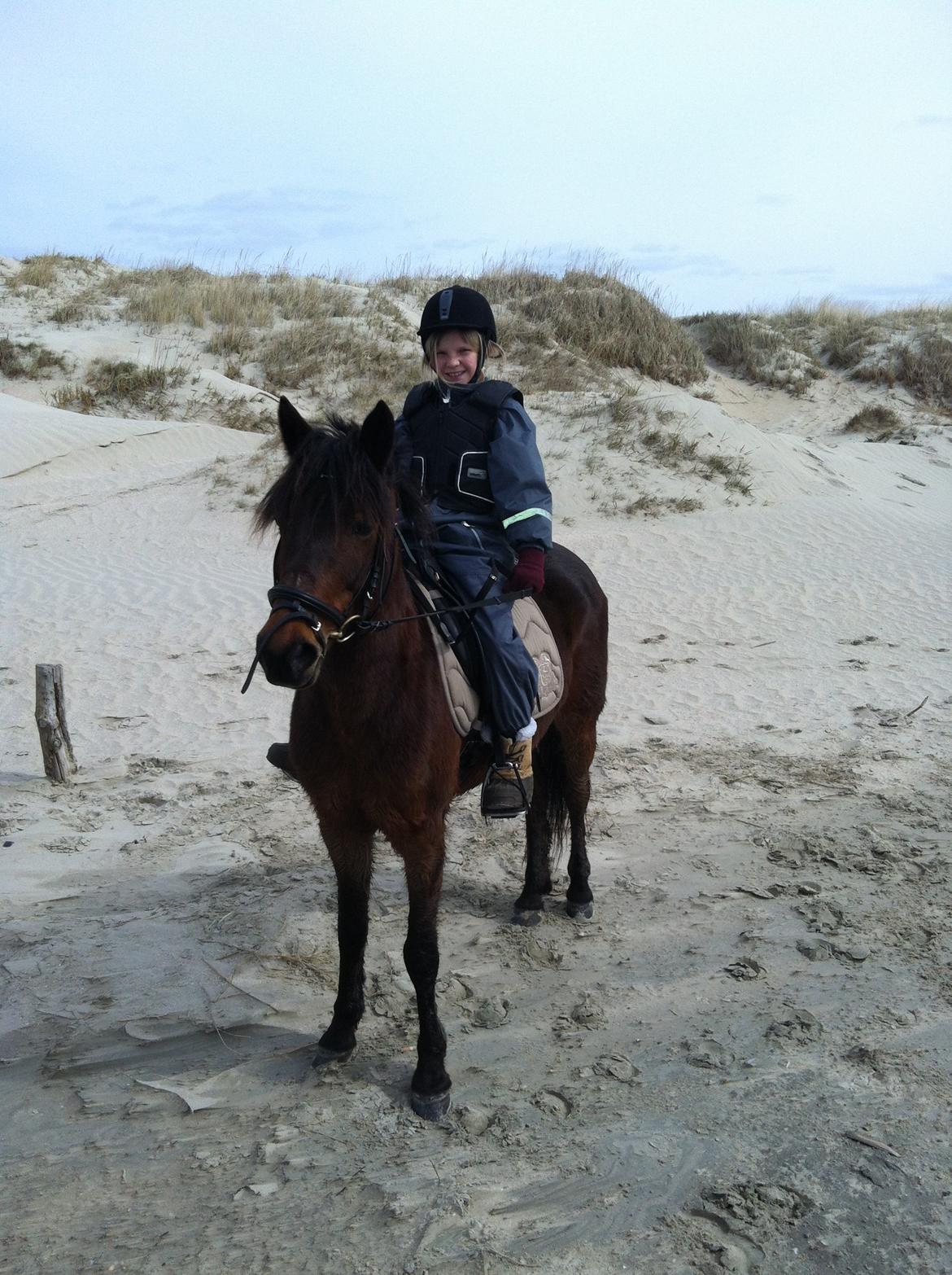 Anden særlig race Filur (solgt ) billede 12