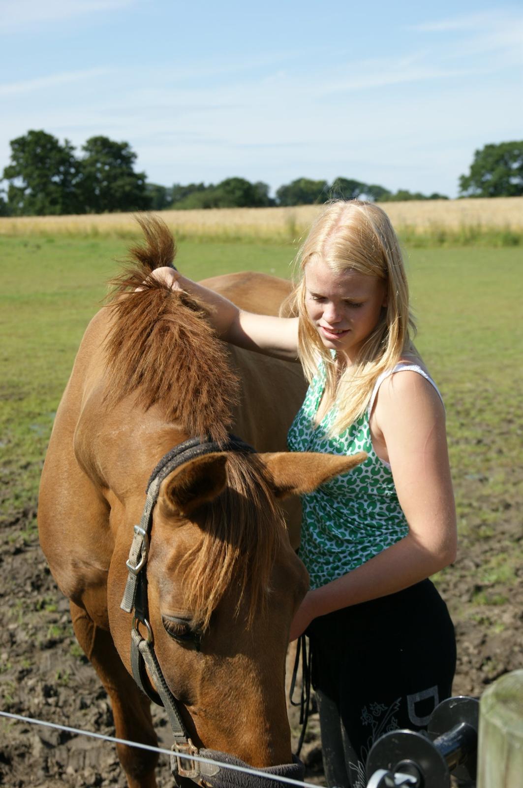 Anden særlig race Lærke - "Gipsy gold does not chink and glitter.  It gleams in the sun and neighs in the dark." billede 17