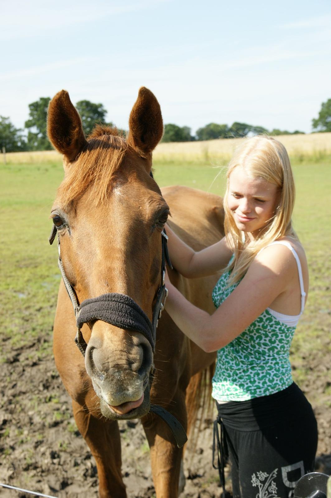 Anden særlig race Lærke - Hehe, det klør godt nok rigtig meget ;) billede 9
