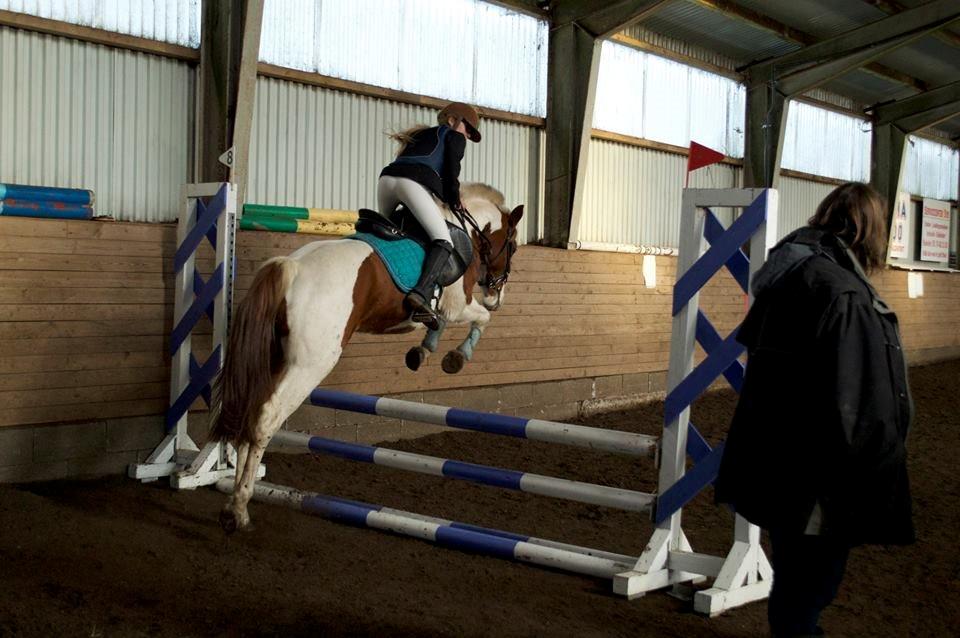 Pinto Indurain Delight - Den Brogede Skønhed billede 17