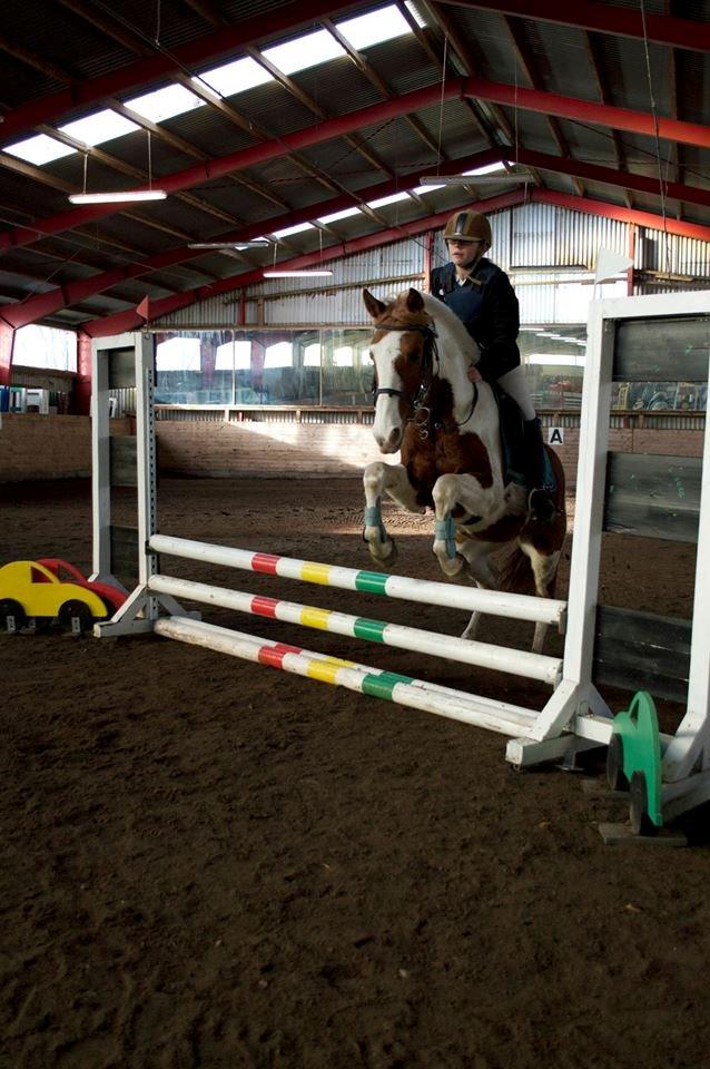 Pinto Indurain Delight - Den Brogede Skønhed billede 18