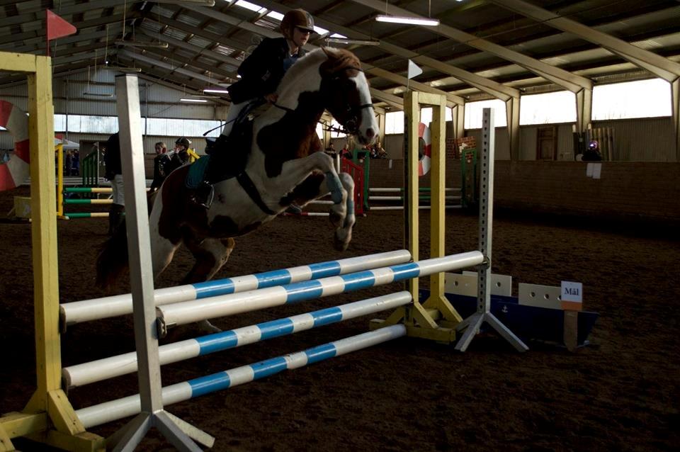 Pinto Indurain Delight - Den Brogede Skønhed billede 20