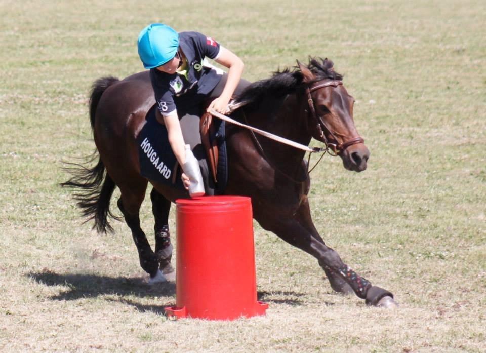 DSP Kvazandra Lapaz - VM 2013 billede 33