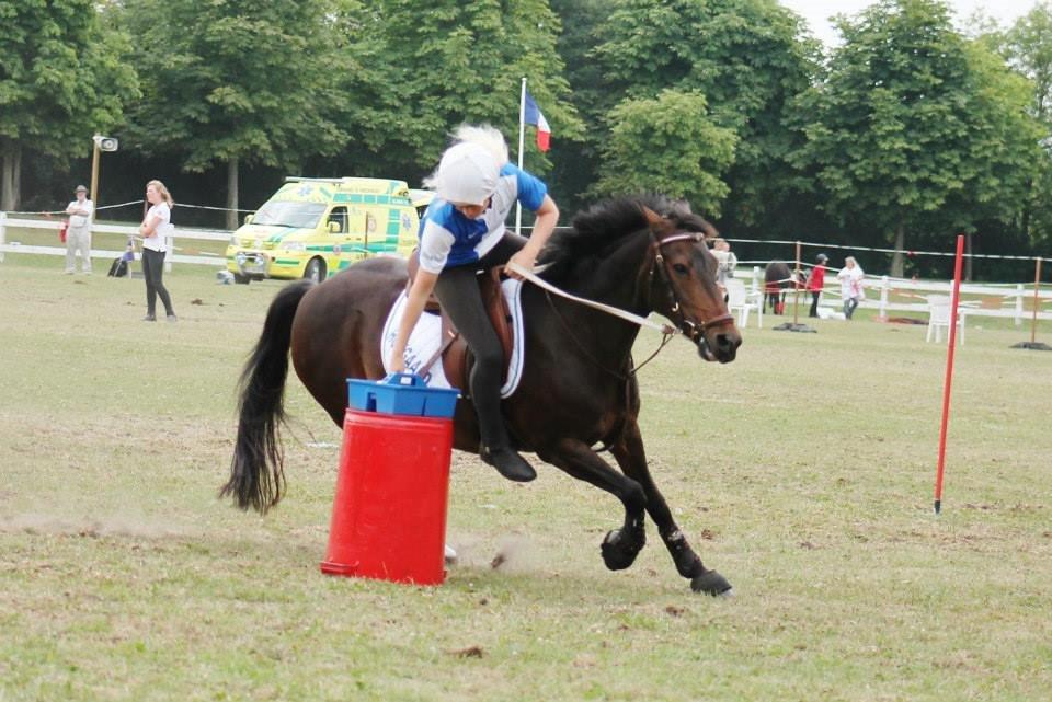 DSP Kvazandra Lapaz - VM 2013 billede 35