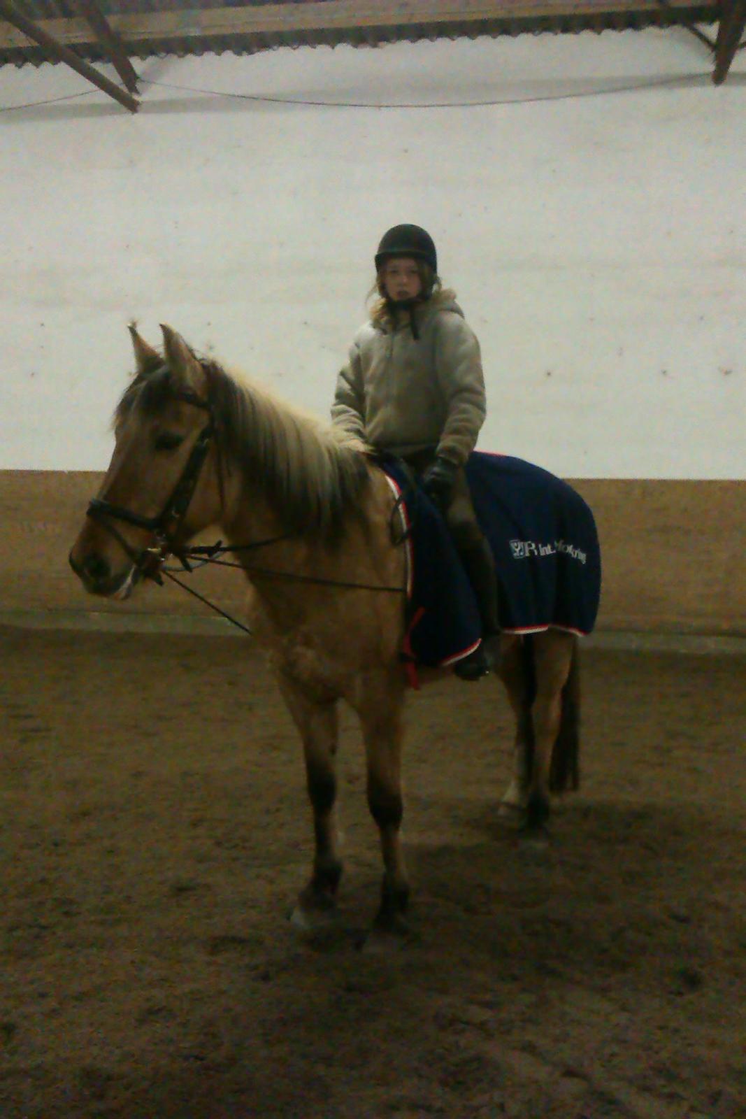 Anden særlig race Flame - Flame på vores 2 måneders dag
foto silje billede 16