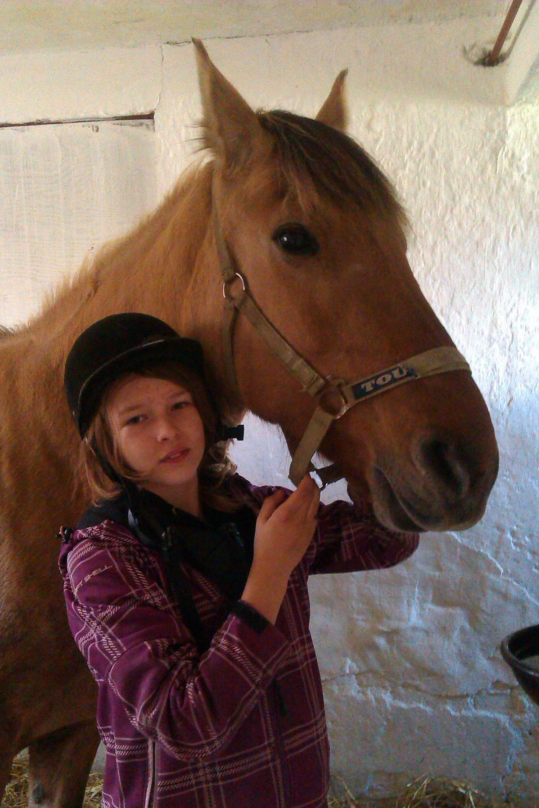 Anden særlig race Flame - mig og Flame billede 17