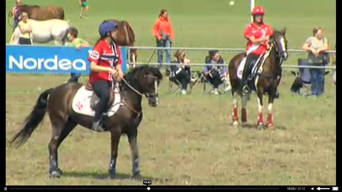 Welsh Pony (sec B) Rozalien O.S billede 2