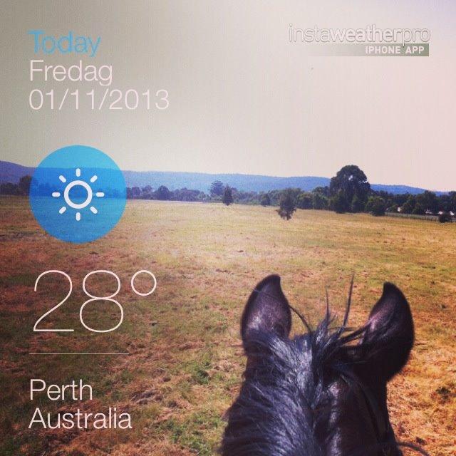 Fuldblod (XX) Baseline - Lækkert vejr, hver dag! ;) billede 10