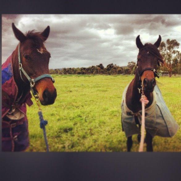 Fuldblod (XX) Baseline - Ella og Farida i stormvejr! billede 15