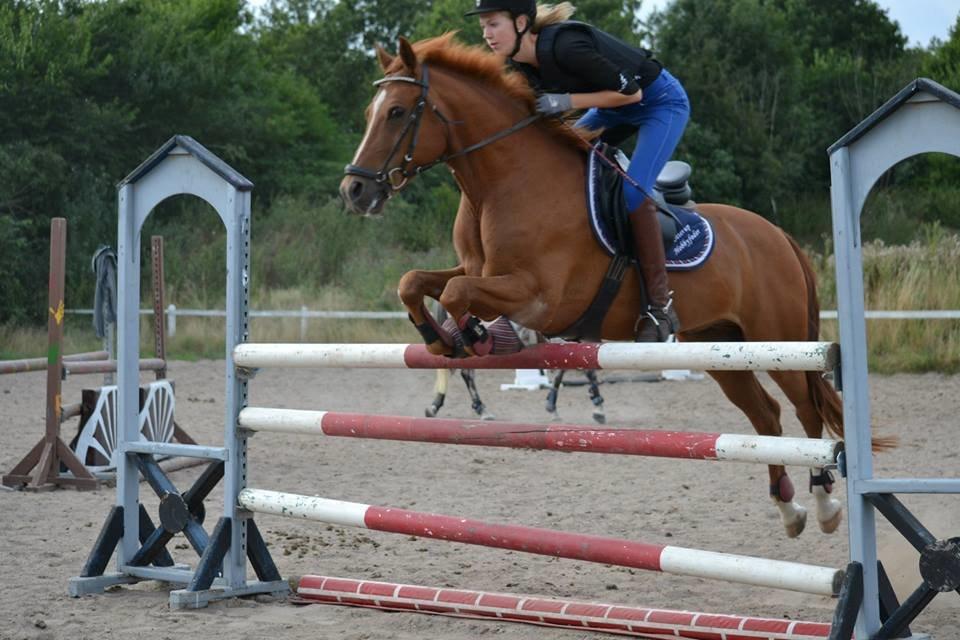 Anden særlig race Kelabo van Orchid's <3 - Træning - 115 cm <3 Billede af Simone Toft billede 1