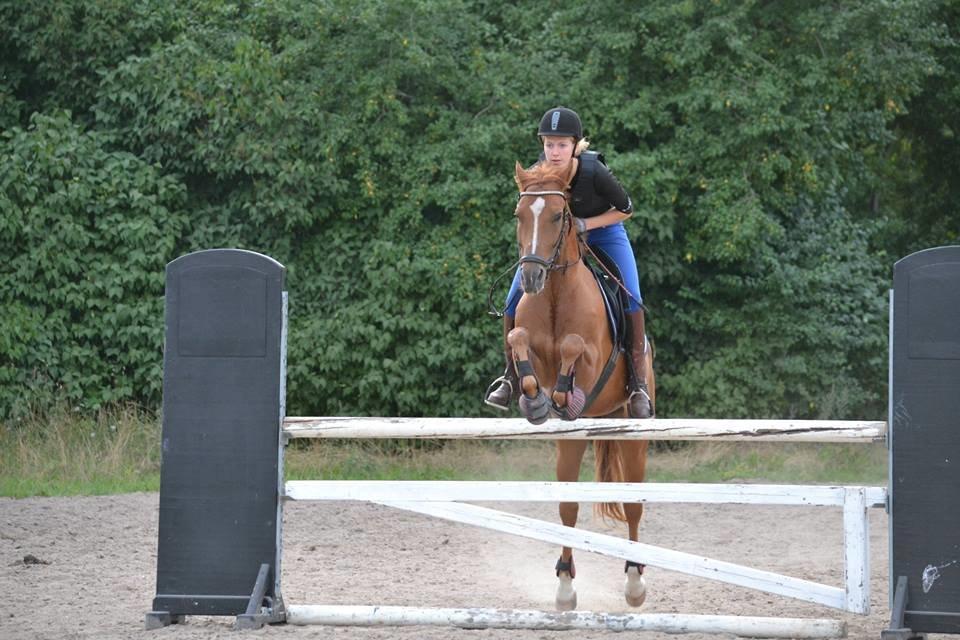 Anden særlig race Kelabo van Orchid's <3 - Træning - 110 cm billede 2