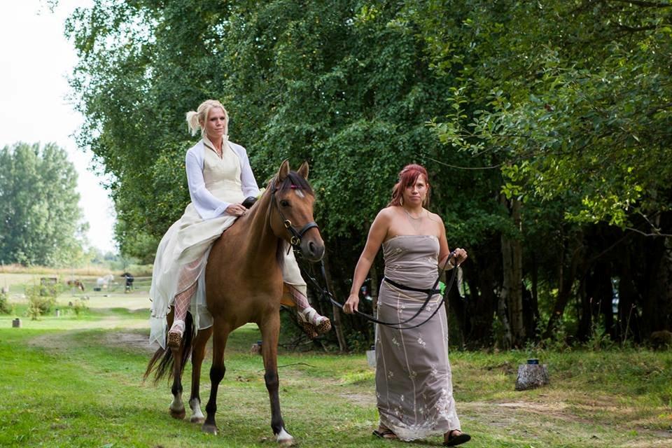 Anden særlig race Unica star billede 26