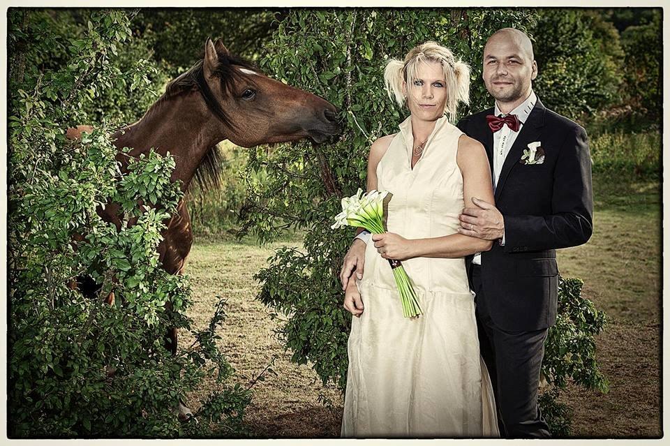 Anden særlig race Unica star billede 14