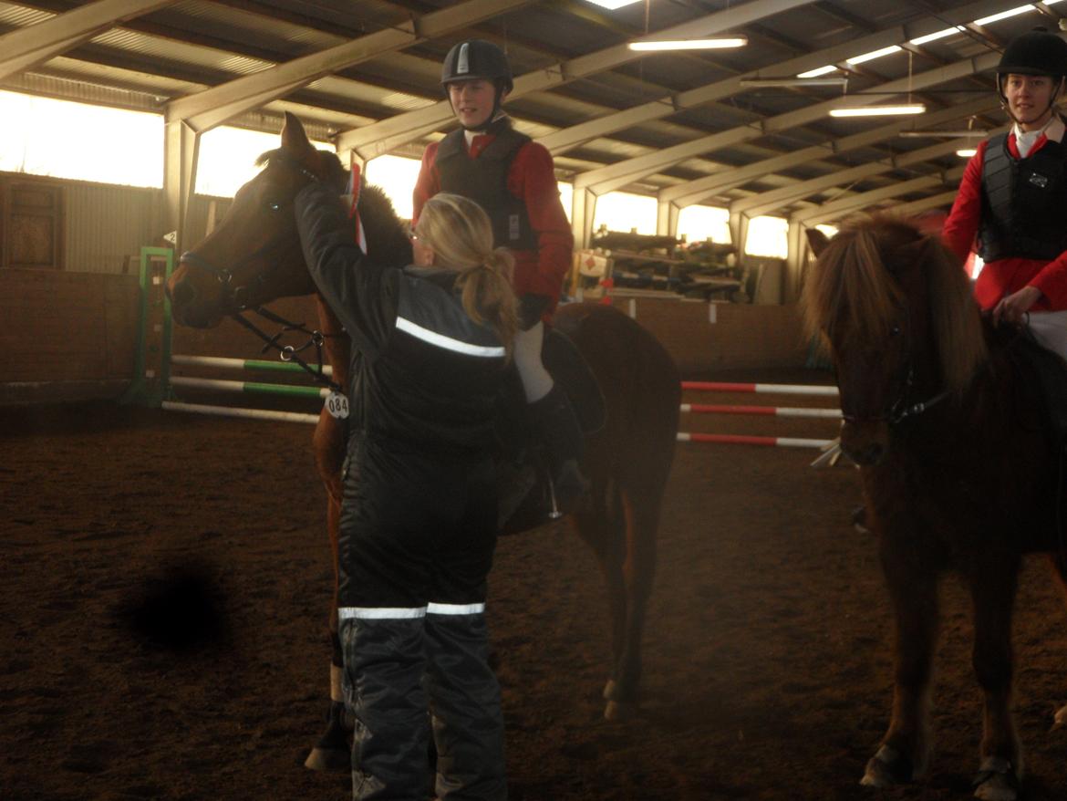 Hollandsk Sportspony Melanie's Lady  B-PONY - D. 24.11.2013
1 Plads
Sønderskov Rideklub billede 23