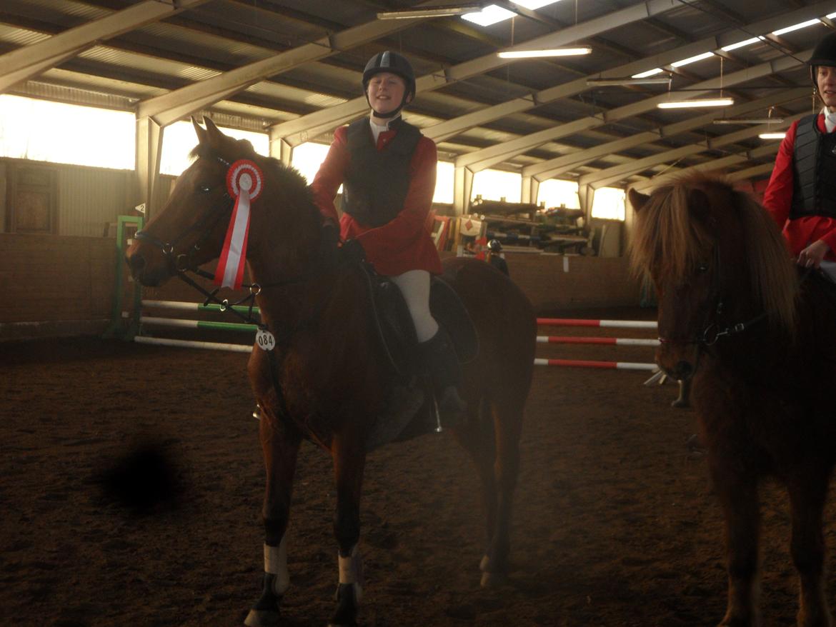 Hollandsk Sportspony Melanie's Lady  B-PONY - D. 24.11.2013
1 Plads
Sønderskov Rideklub billede 24