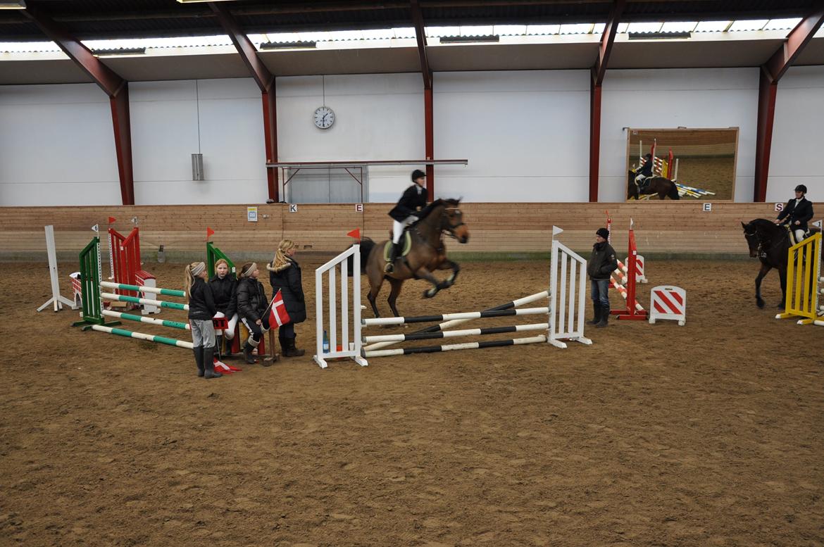 Dansk Varmblod Just Ask - Stævne i Guldager Rideklub den 30/11-13. Vi red en LD og en LC :-)  billede 8