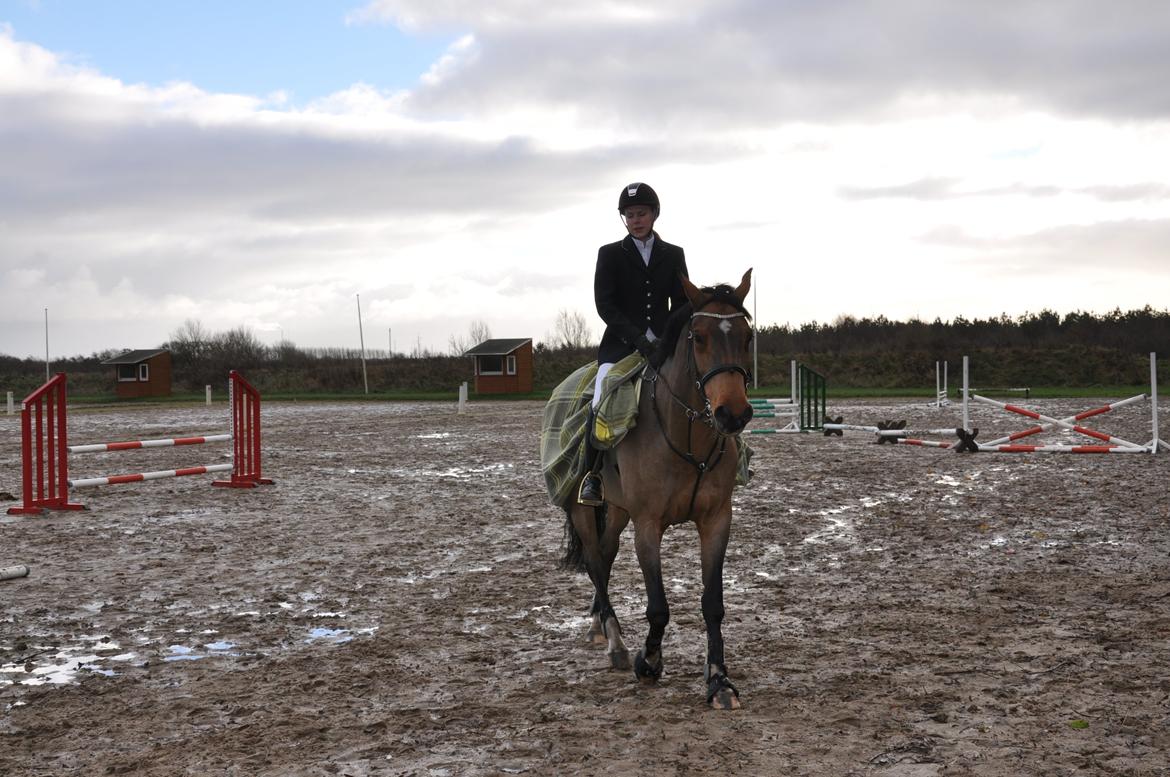 Dansk Varmblod Just Ask - Stævne i Guldager Rideklub den 30/11-13. Vi red en LD og en LC :-)  billede 9