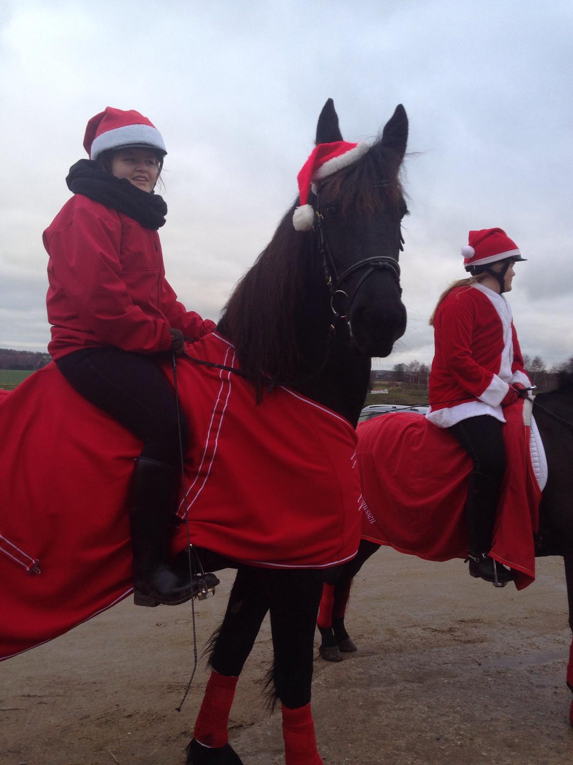 Frieser Karstina billede 15