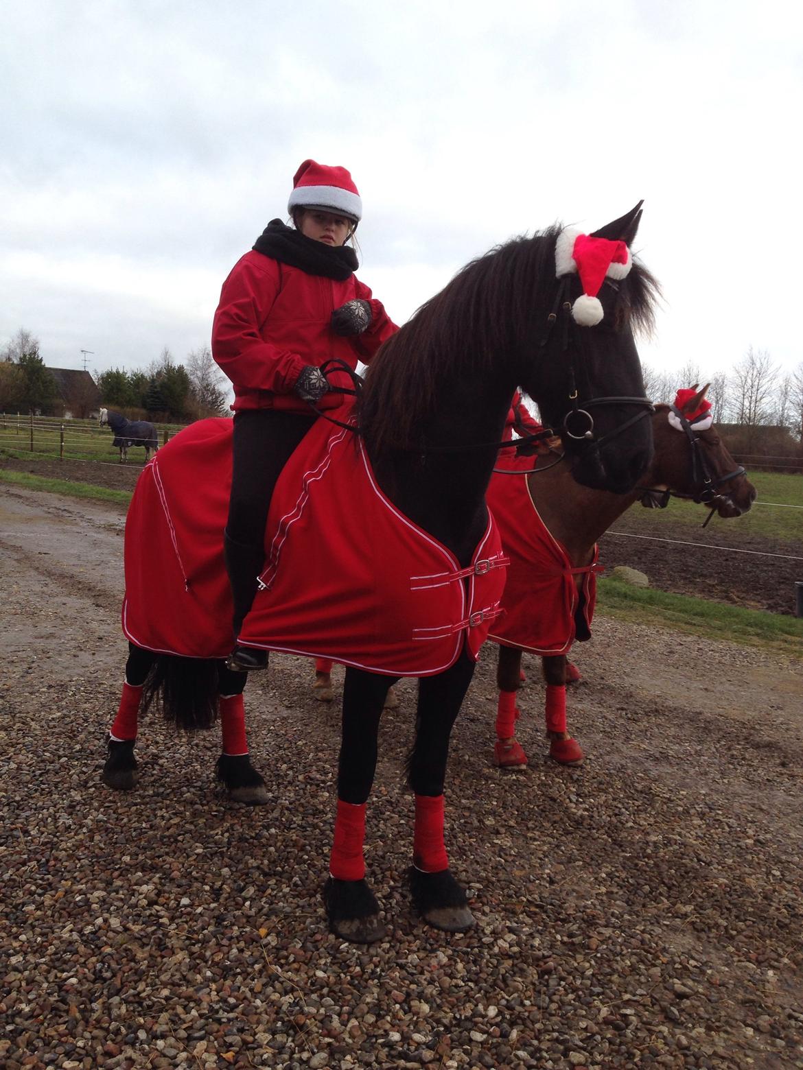 Frieser Karstina billede 16