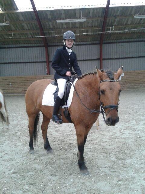 Anden særlig race Brie <3 <3 - Brie piige til stævne billede 3