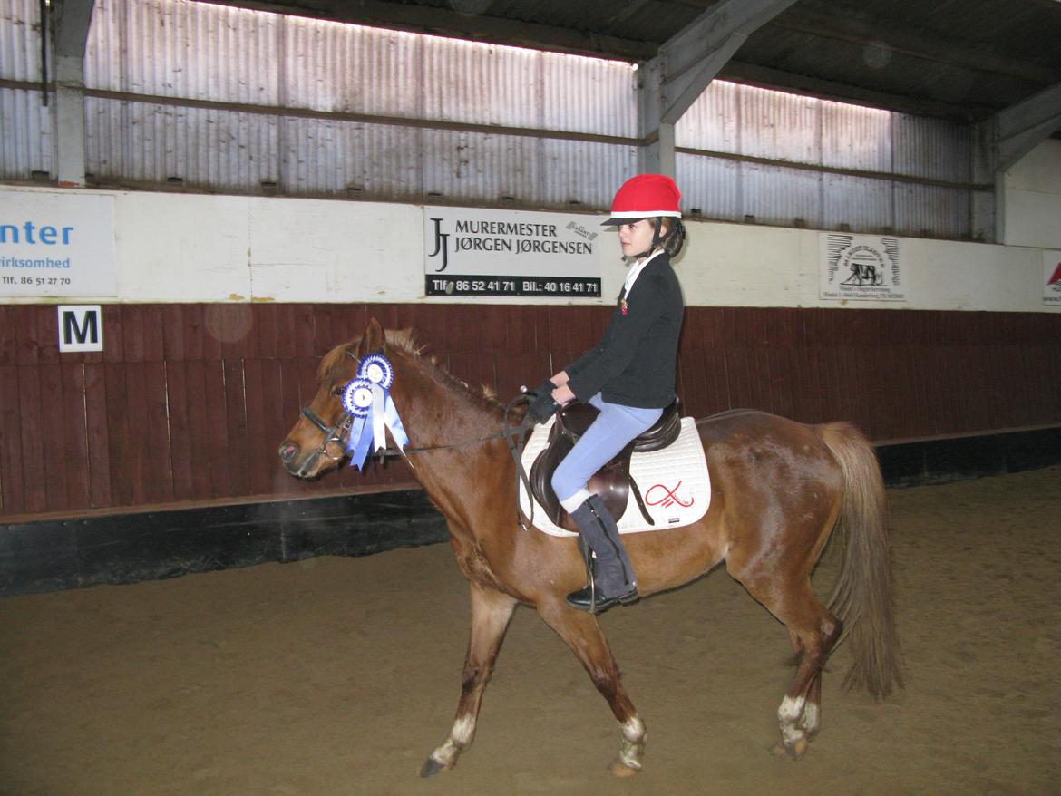 DSP Toftegårdens Belucca - To flotte 2. pladser 30/11/13 billede 13