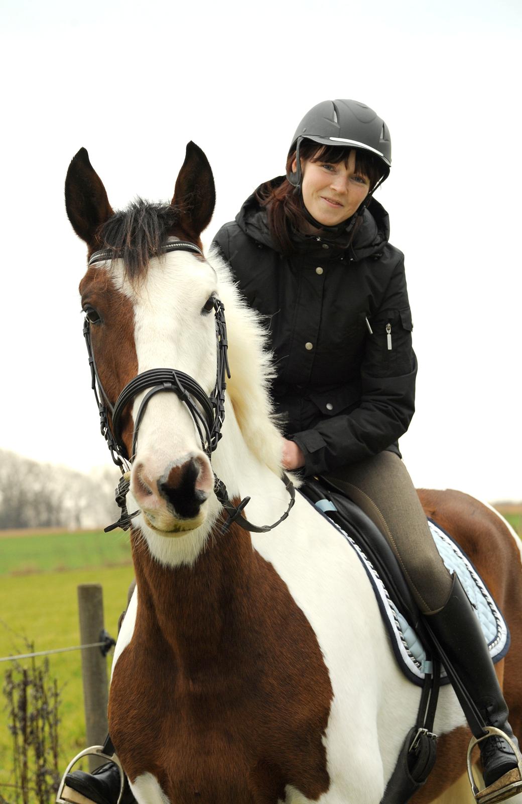 Pinto Enekær's Sambatino *Årets land og fritid hest* - Årets land og fritid hest 2023/2014.. Taget af www.fotoglimt.dk billede 23
