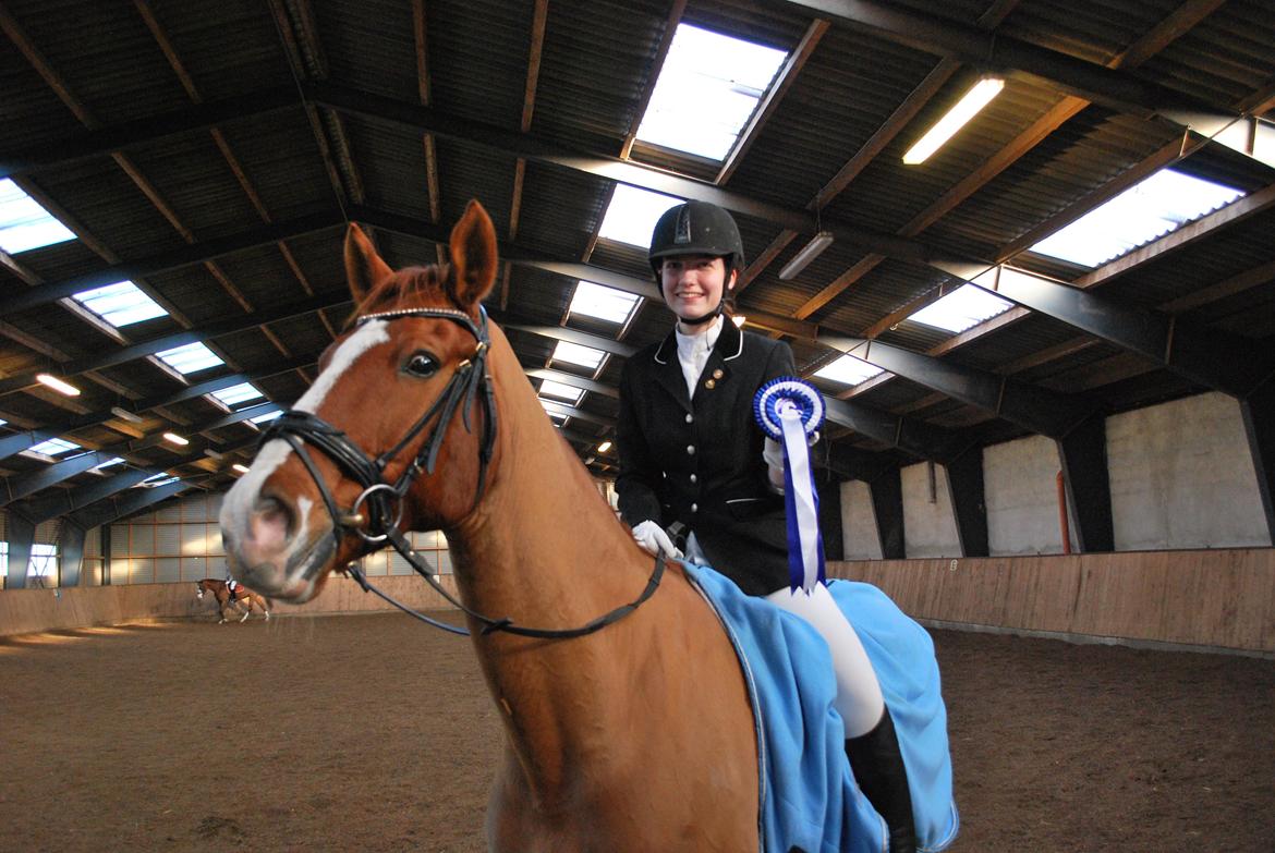 Anden særlig race Shiraz <3 - Første stævne på Shiraz - og så en 2. plads (y) billede 19