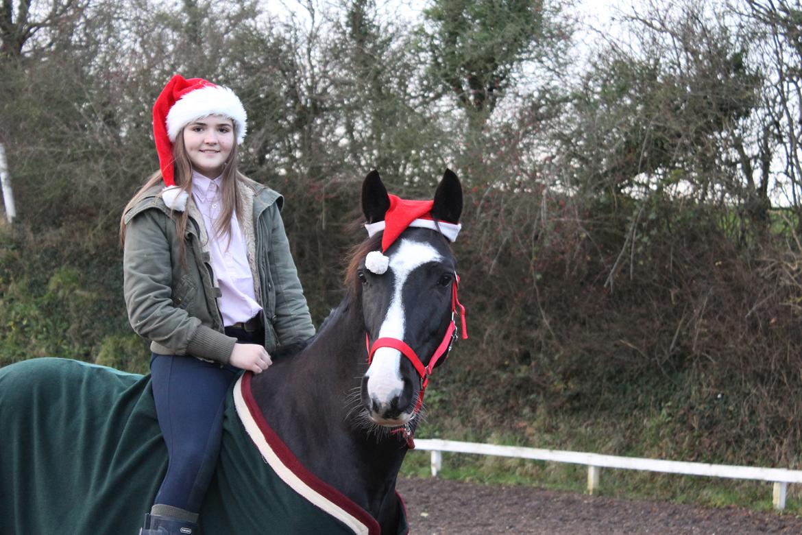 Anden særlig race Bertil - Bertil og jeg, december 2013. billede 3