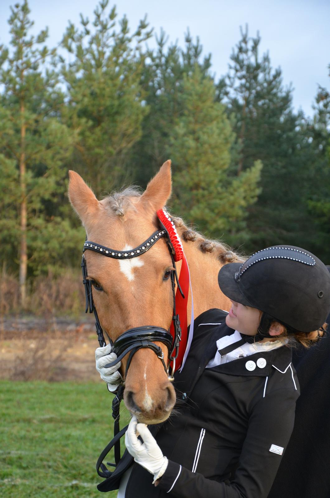 Hollandsk Sportspony Golden Star * B-pony* - Min elskede dreng. billede 31