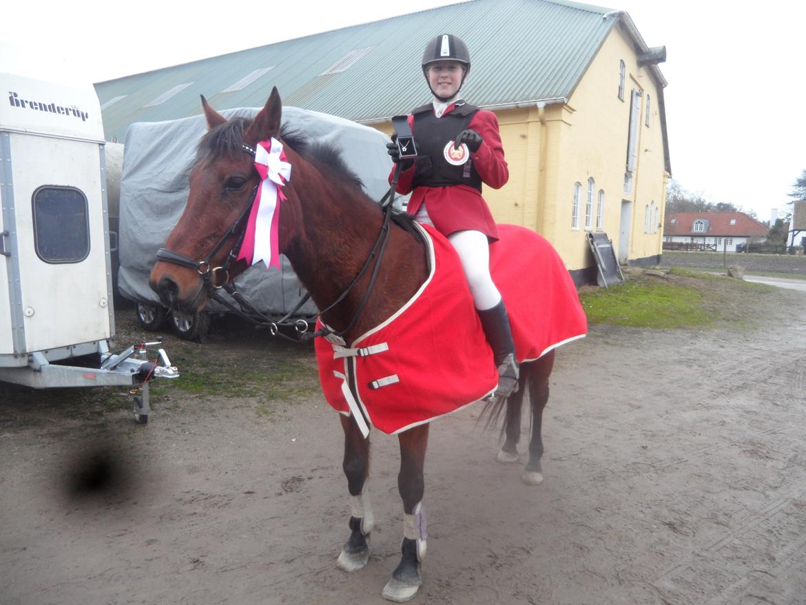 Hollandsk Sportspony Melanie's Lady  B-PONY - D. 30.11.2013 1 Plads
Gråsten Rideklub billede 27