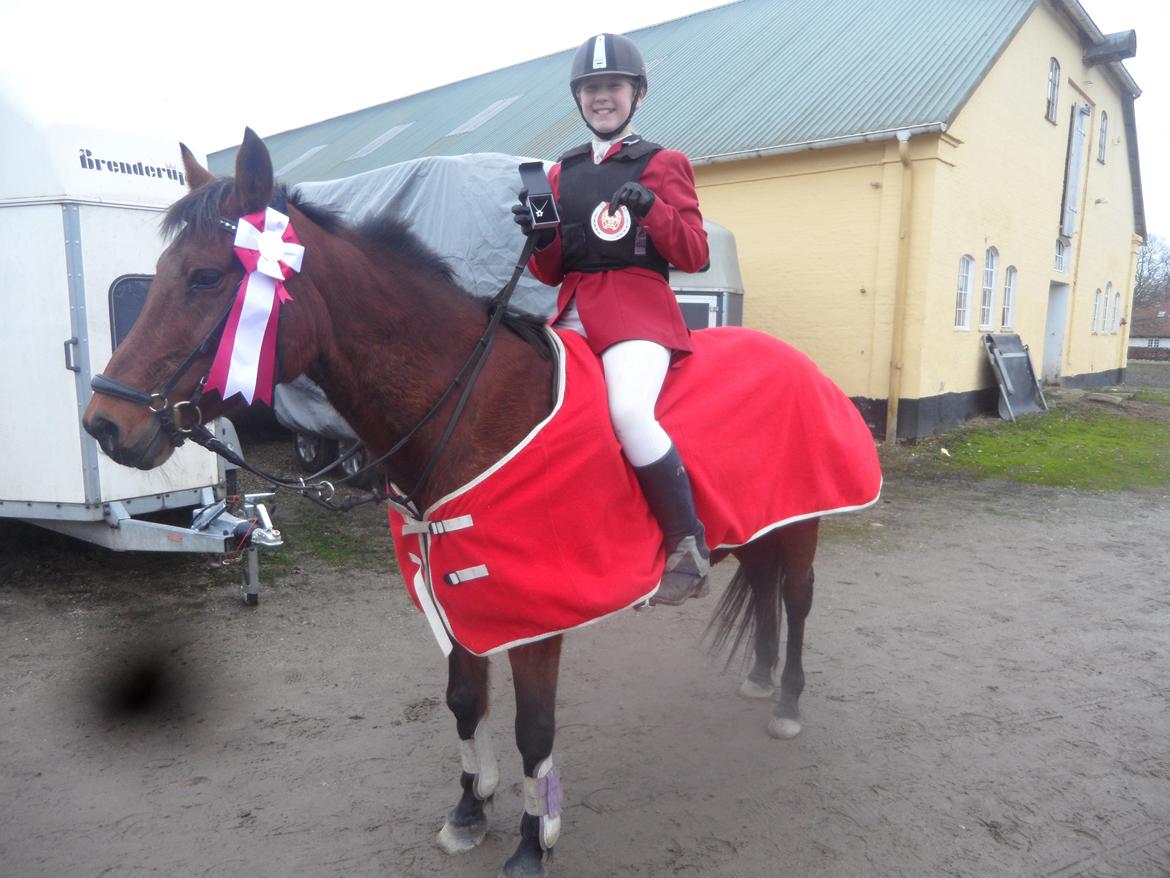 Hollandsk Sportspony Melanie's Lady  B-PONY - D. 30.11.2013 1 Plads
Gråsten Rideklub billede 28
