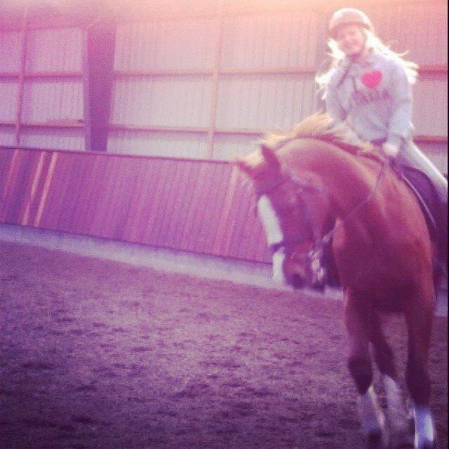 Hannoveraner Malou billede 5