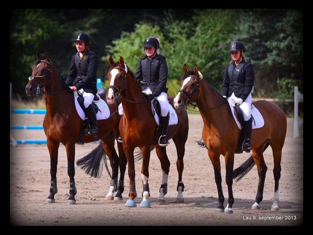 Hollandsk Varmblod Alarda (Nuller) - 2. Plads til Junior Mesterskabet i spring 2013 billede 18