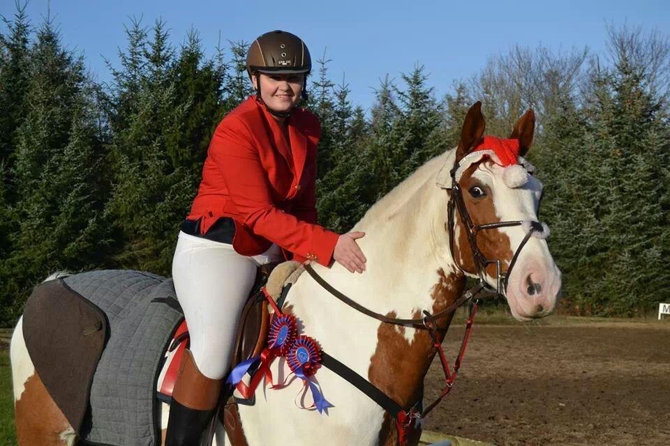 Pinto Nikolaj af Dutterup billede 28