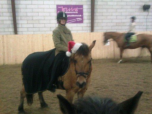 Anden særlig race Arisma billede 4