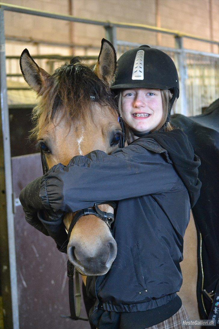 Anden særlig race Arisma billede 10